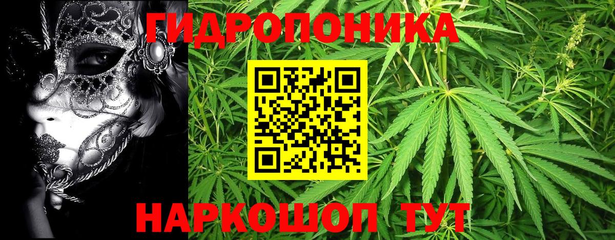 Шишки марихуана OG Kush  Бошки Шишки индика  Вход с VPN  Минеральные Воды 